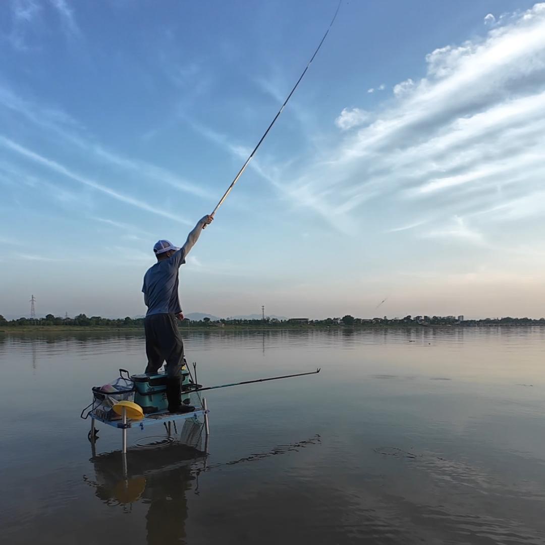 野钓金兰🎣