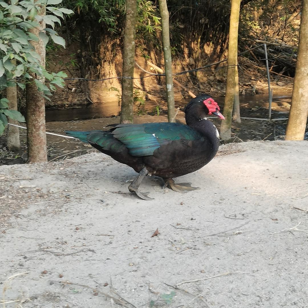 畲乡生态农场
