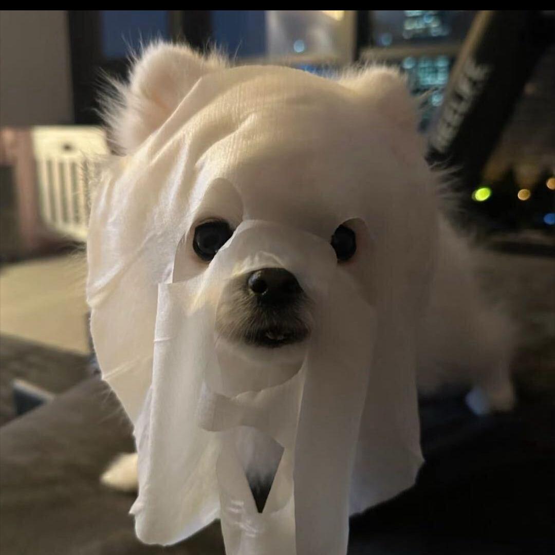 kikikiki