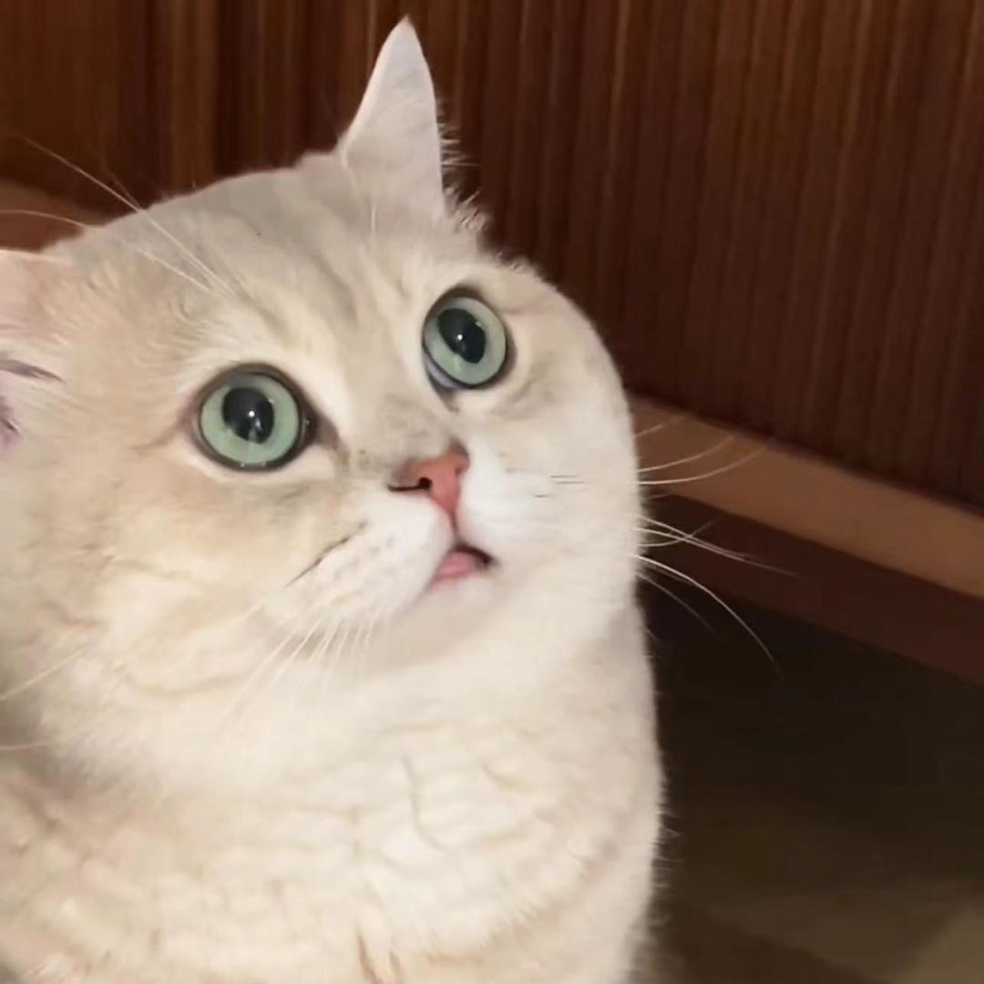 小元有点夹