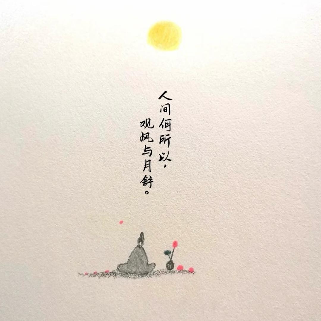 D•本心