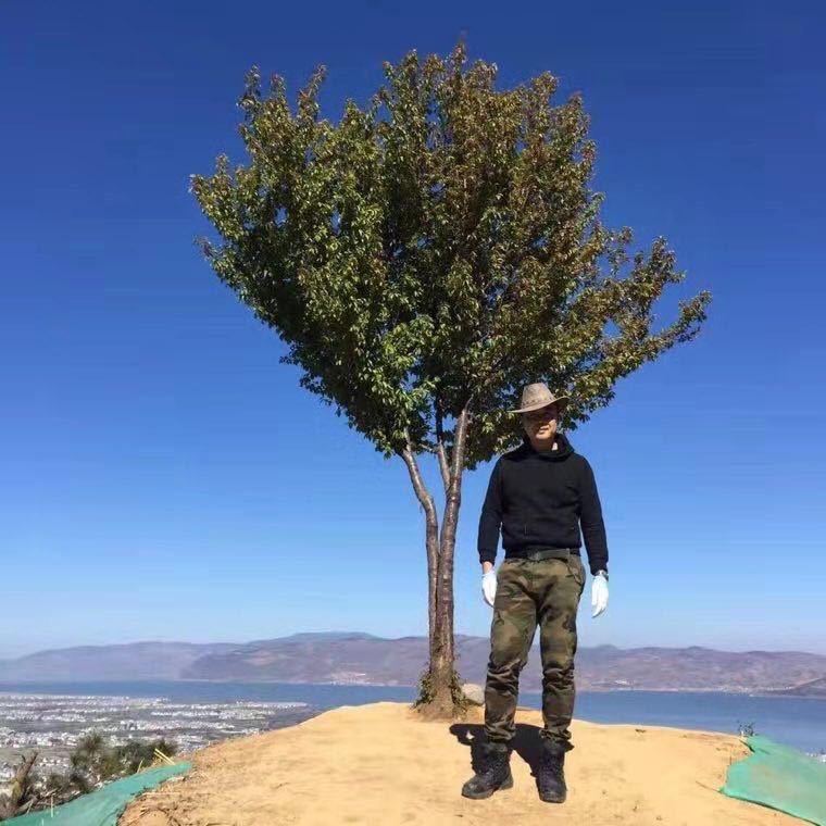 会波无锡会波环境科技有限公司专卖店