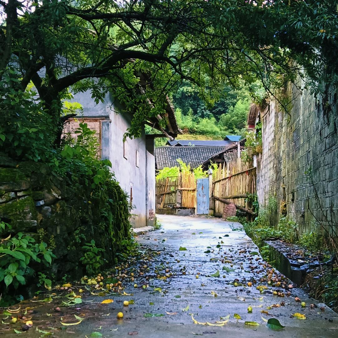 顺时帧
