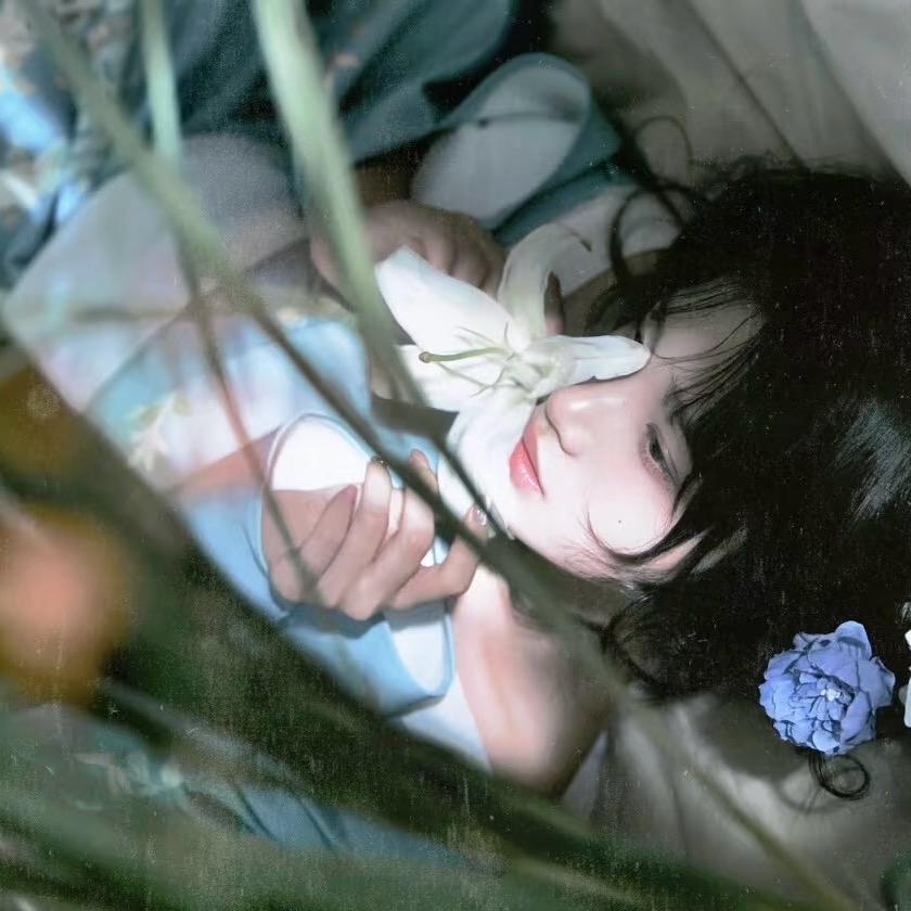韦怼怼🦋