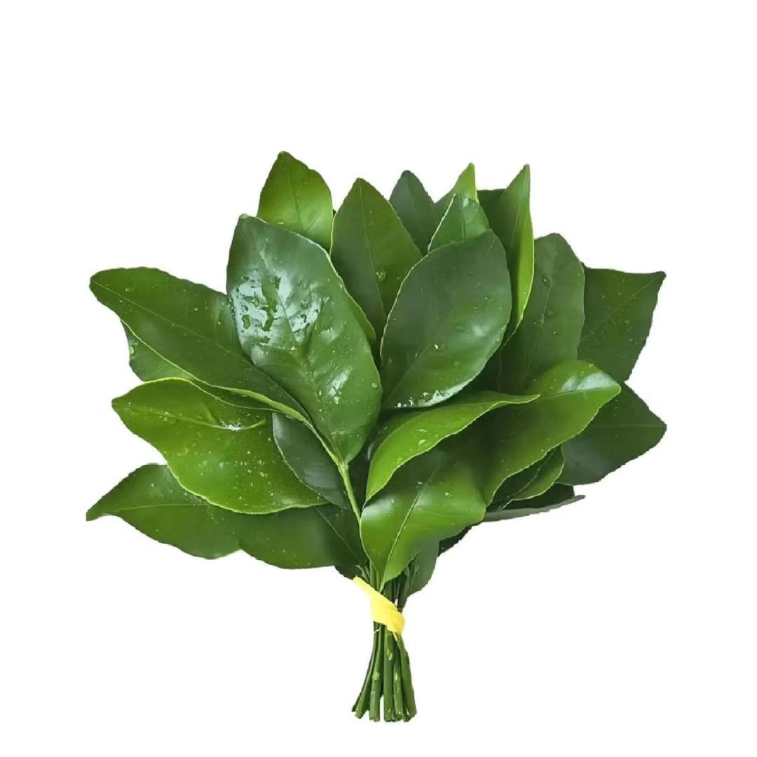 翻斗花园小王