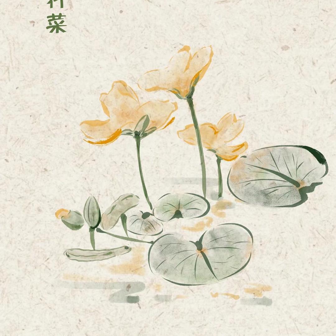 花上枝Huasy