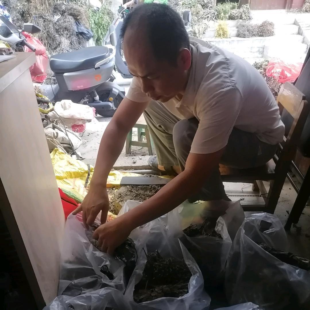 中草药何老师1