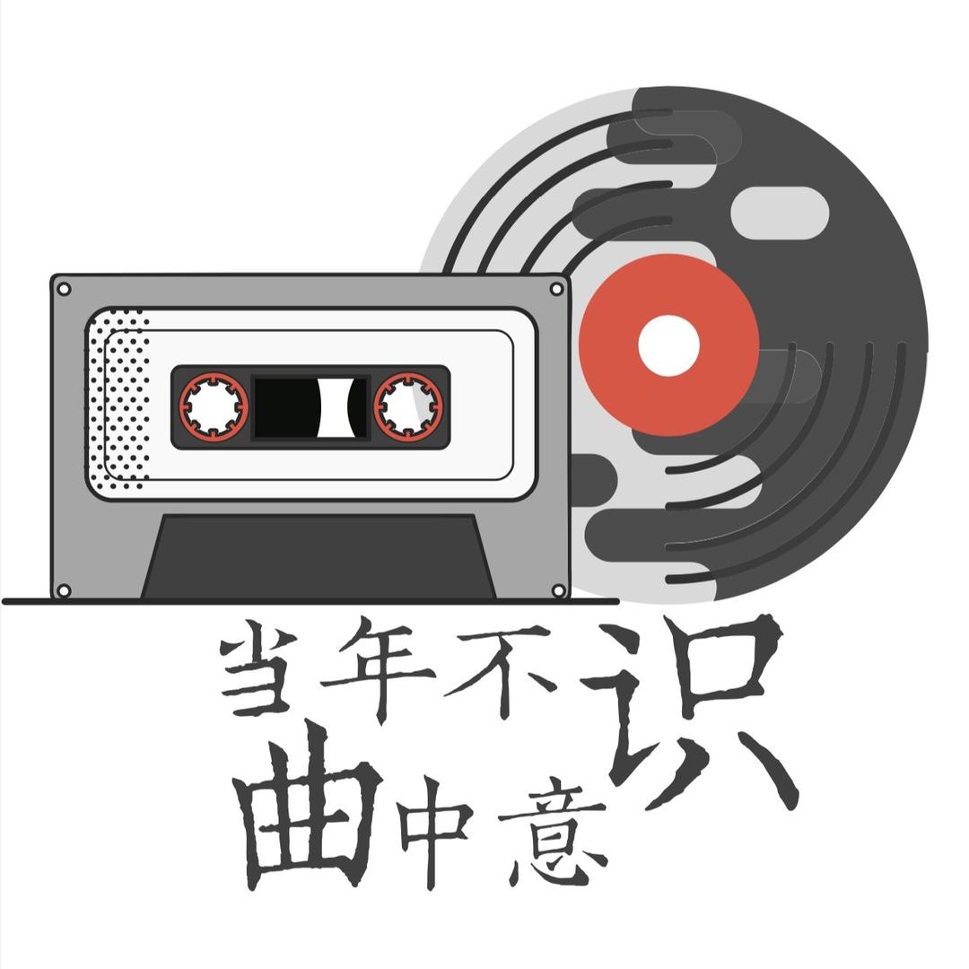 当年不识曲中意