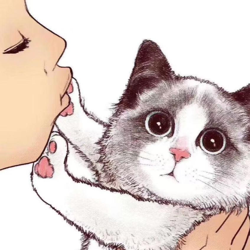 巷子里的猫