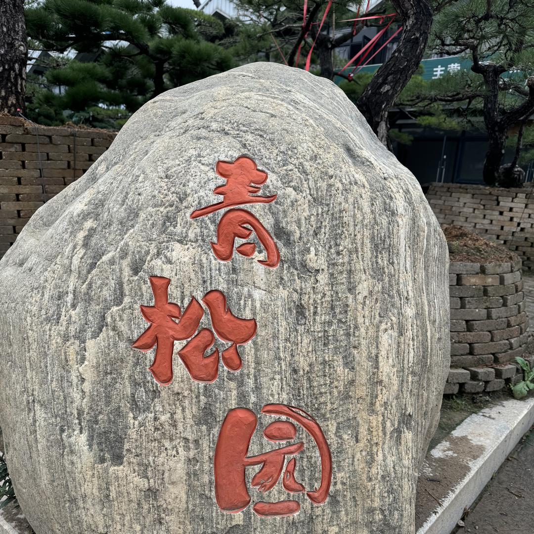 青松园-黑松专卖