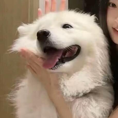 QOQOQQQ