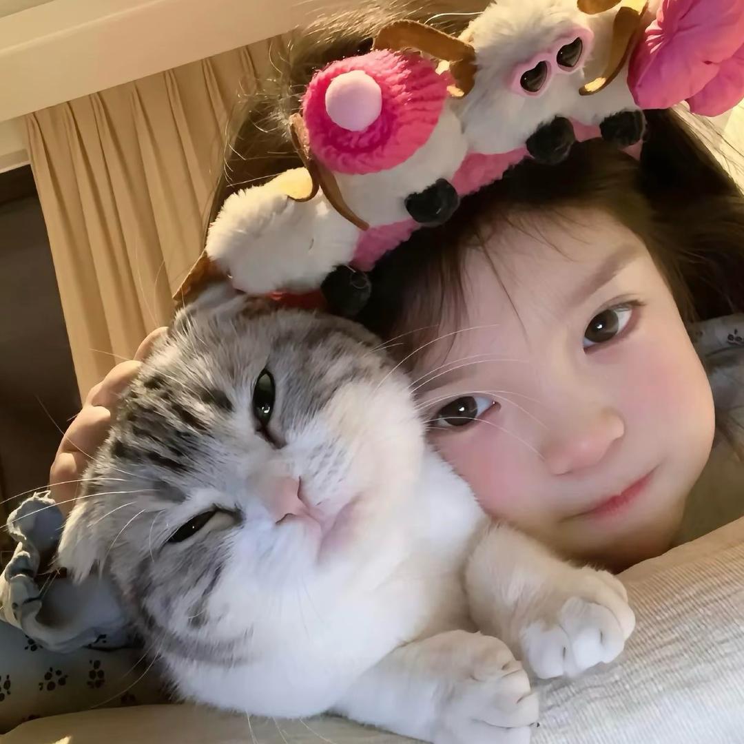 shushushu