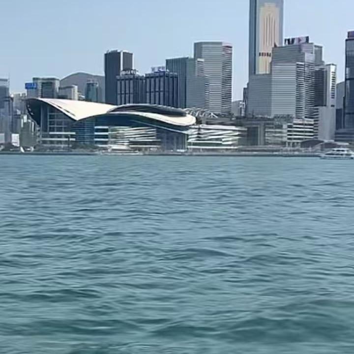 海港城腰带