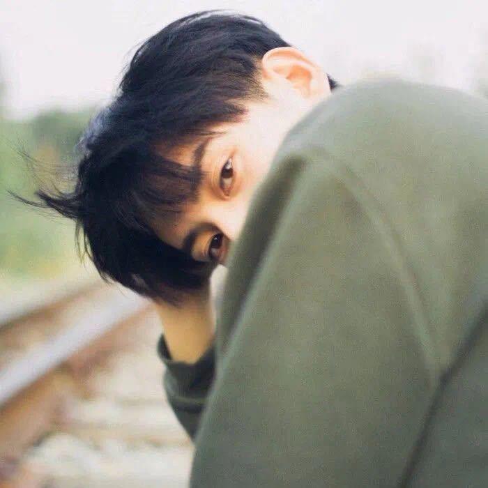 木木🌿