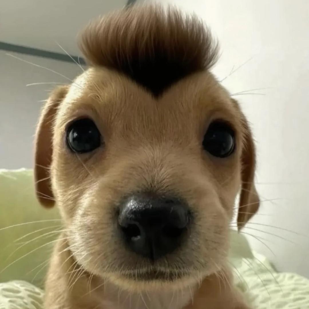 过桥米线加蛋
