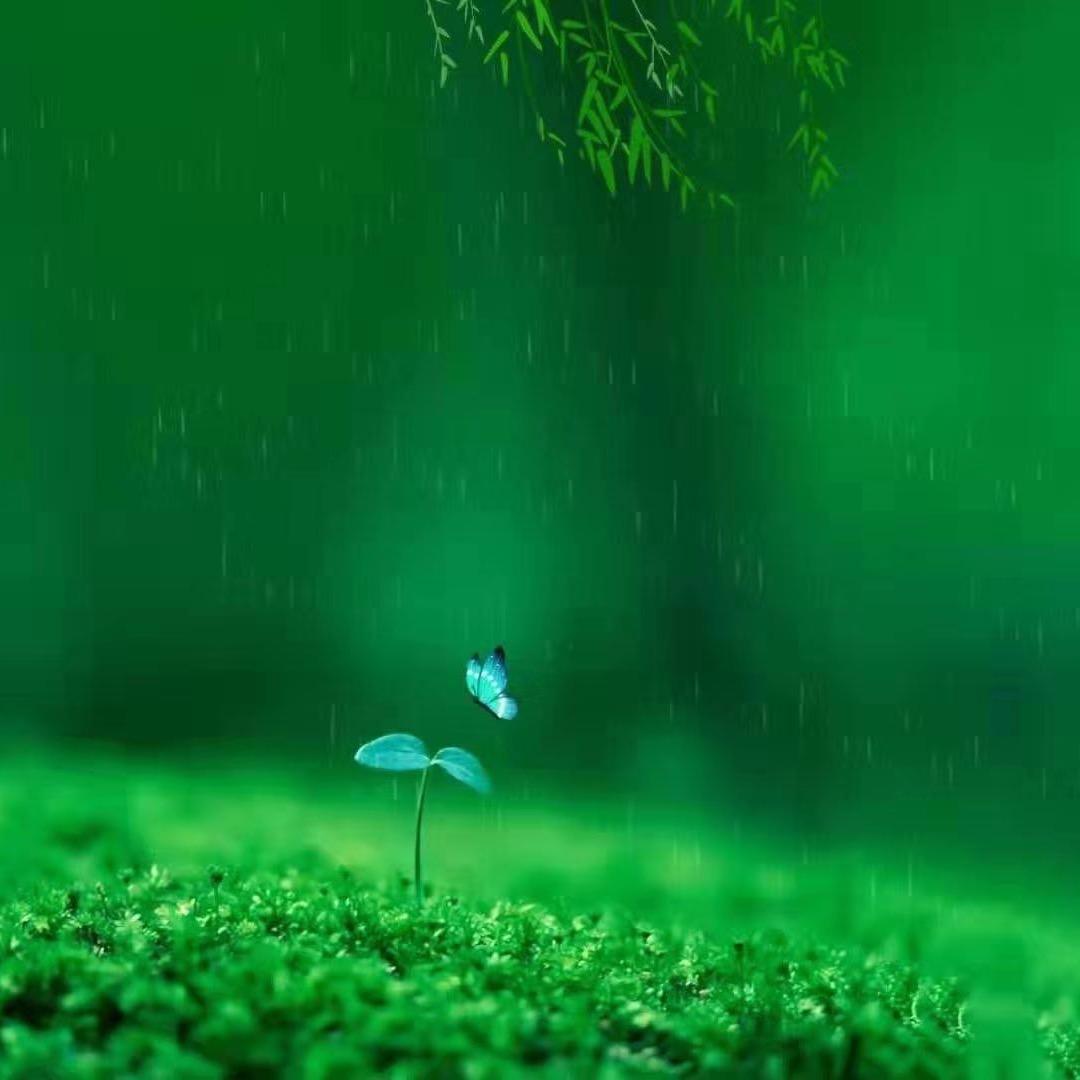 听听雨声