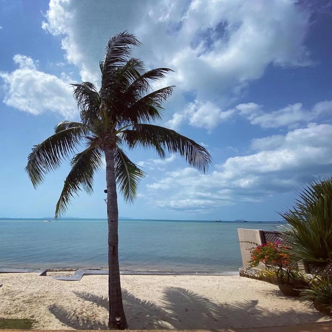 你有没有可乐喝🥤