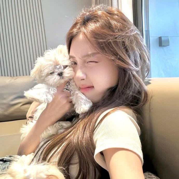 沐沐沐沐沐(见过黄子 米东³版)