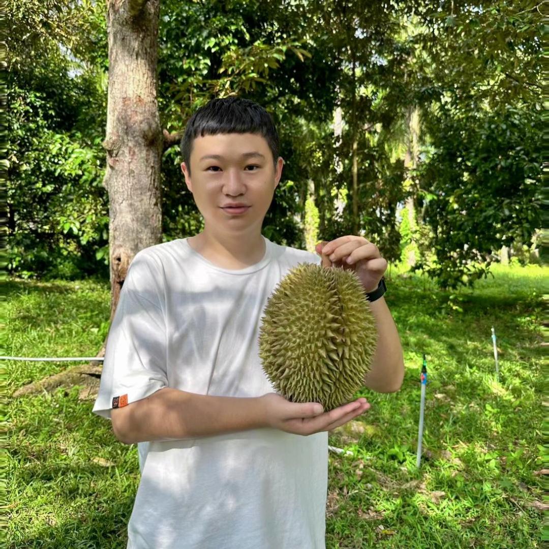 🐲皇真实有实力