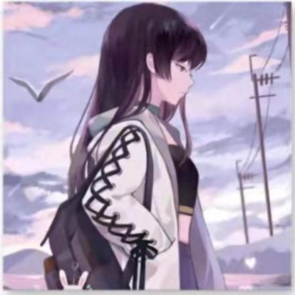🐑姐姐