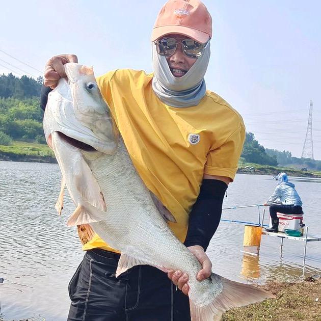 ②斤半（业渔中的鱼）