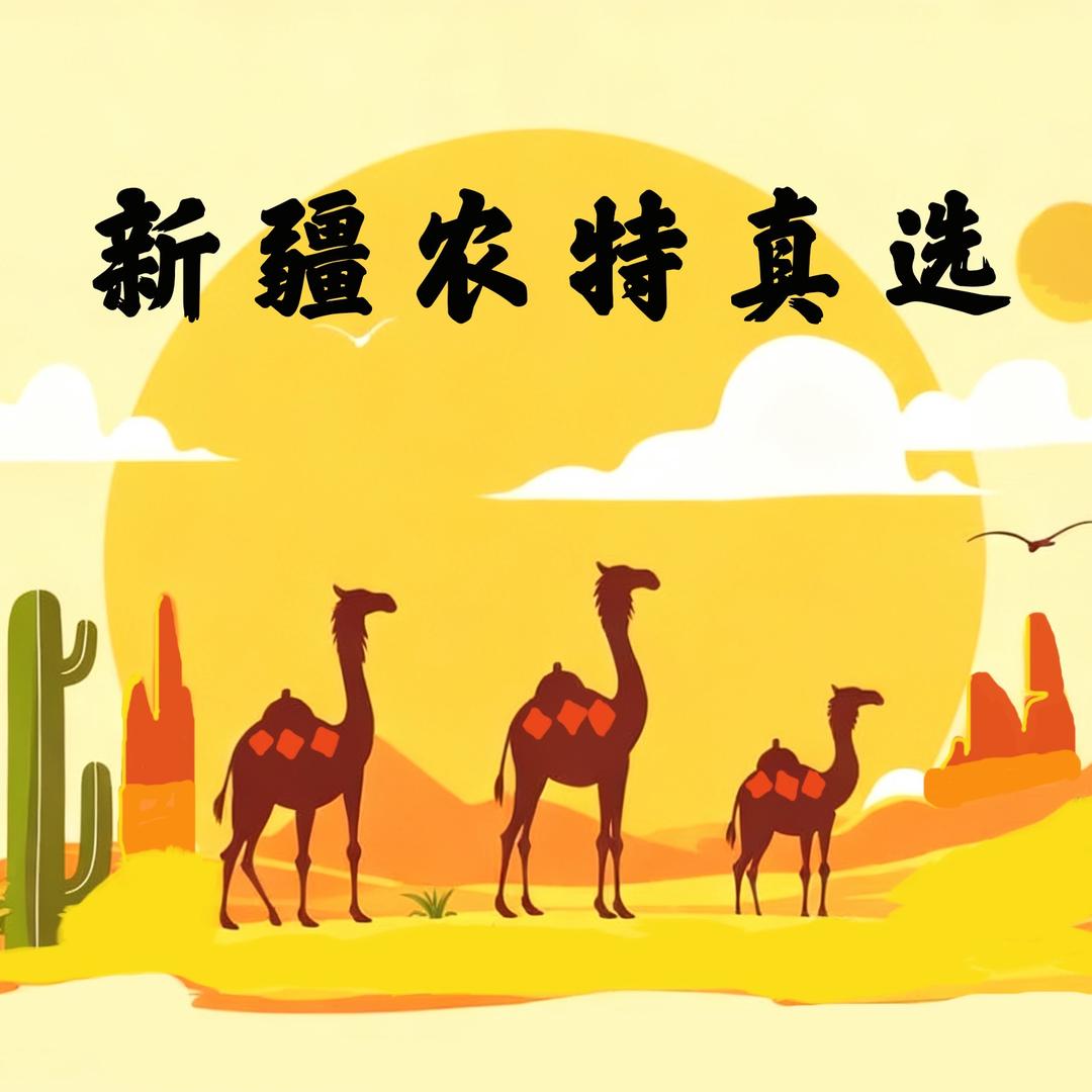 新疆农特真选