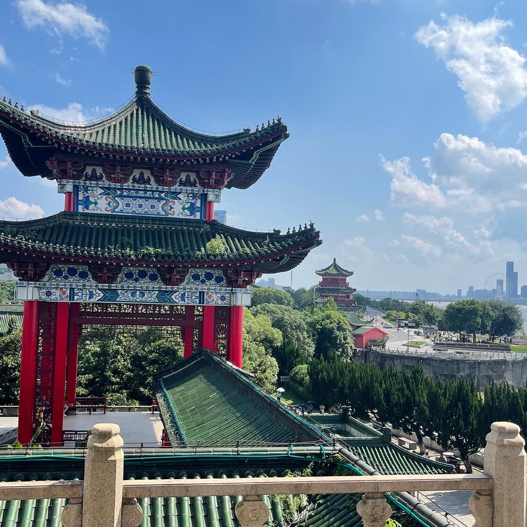 陶陶
