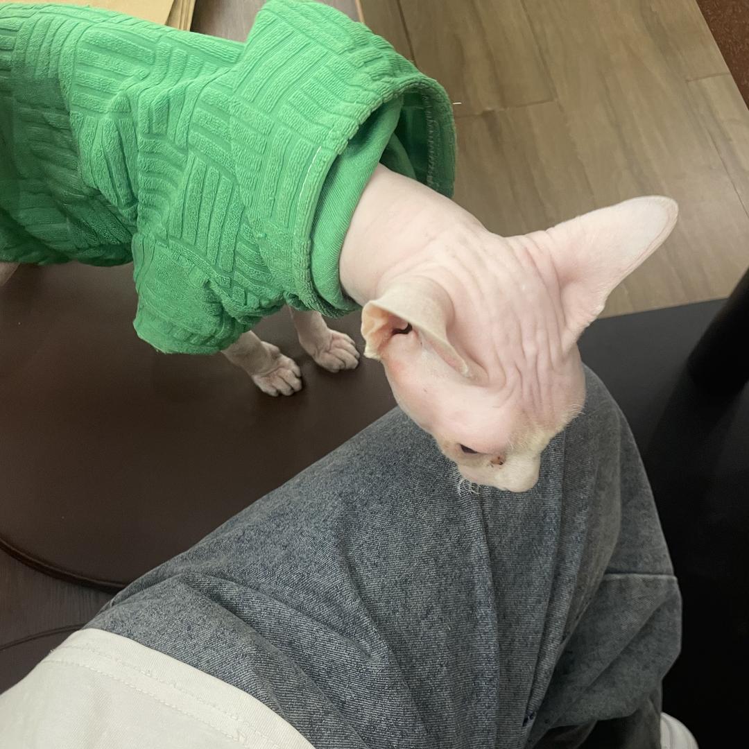 秋