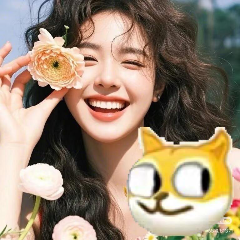 小虫