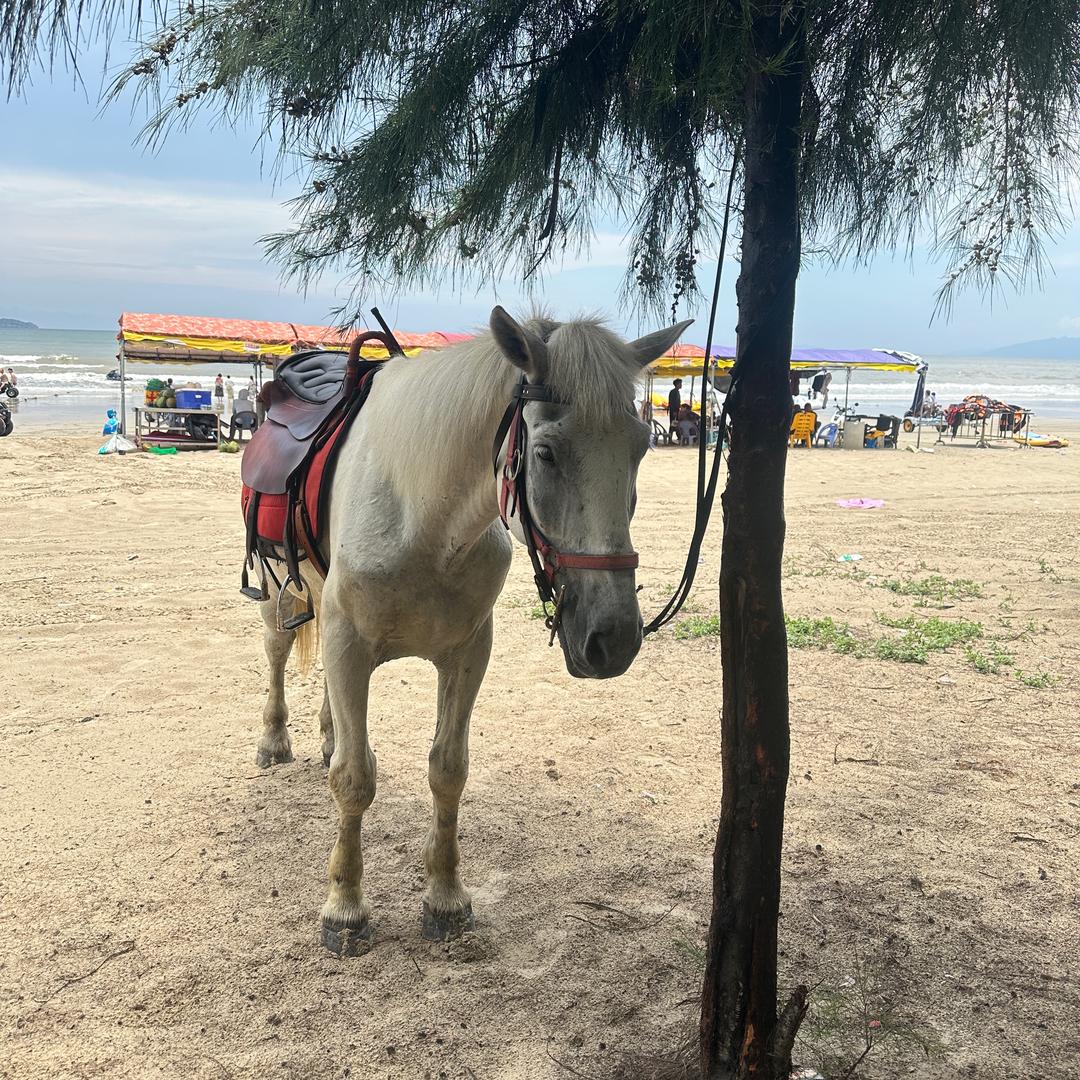 想不想你心知道