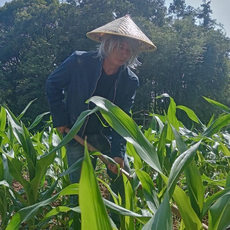 糟老头