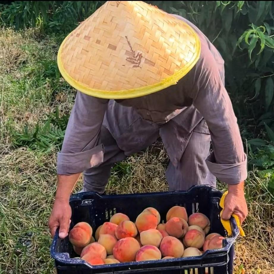 净慧农场