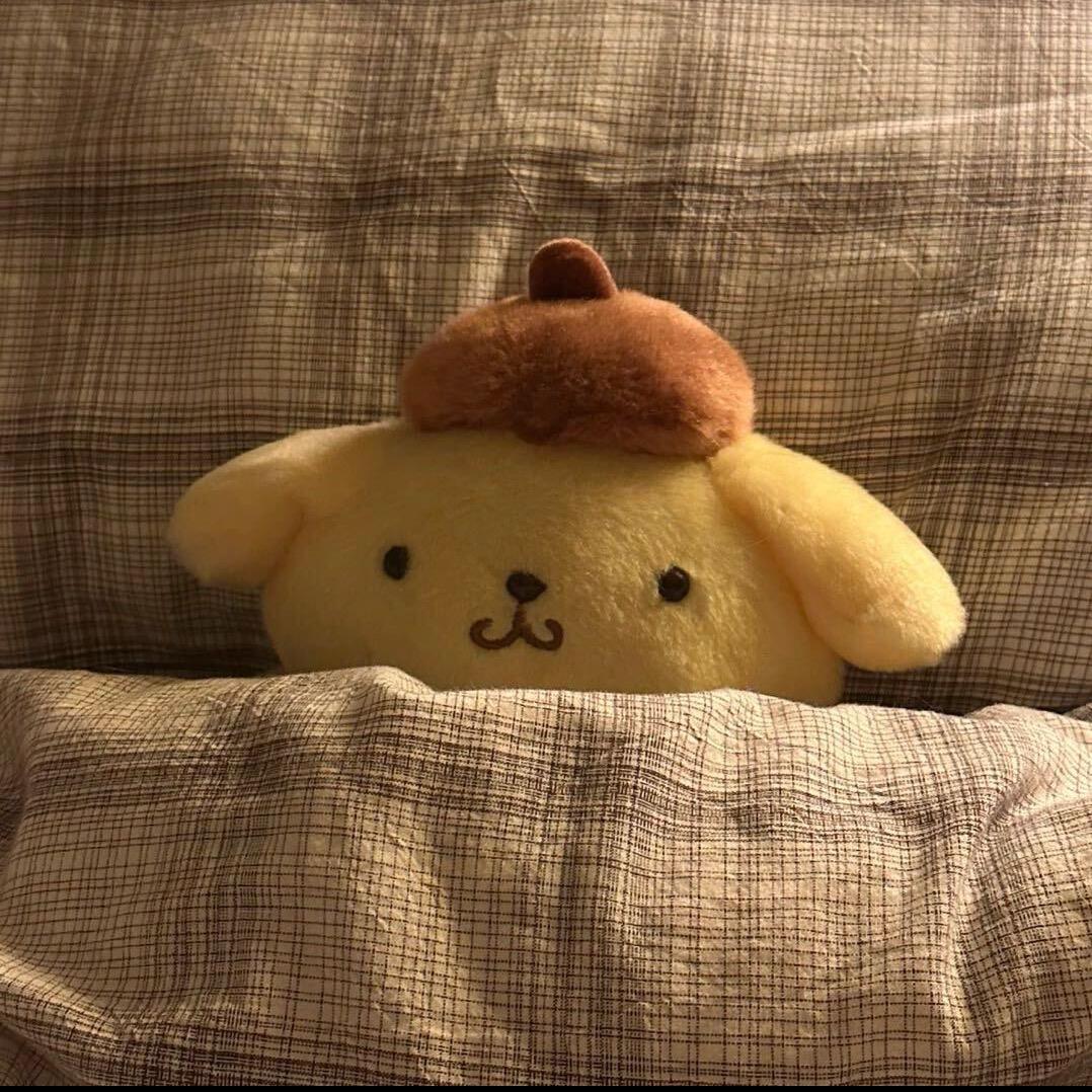 鸡翅一般般