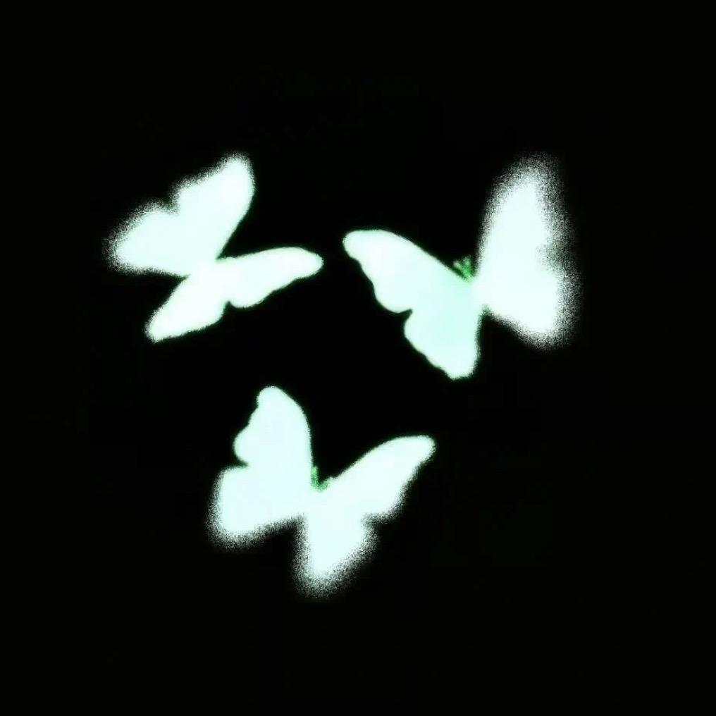 🩵爱吃鸡蛋灌饼