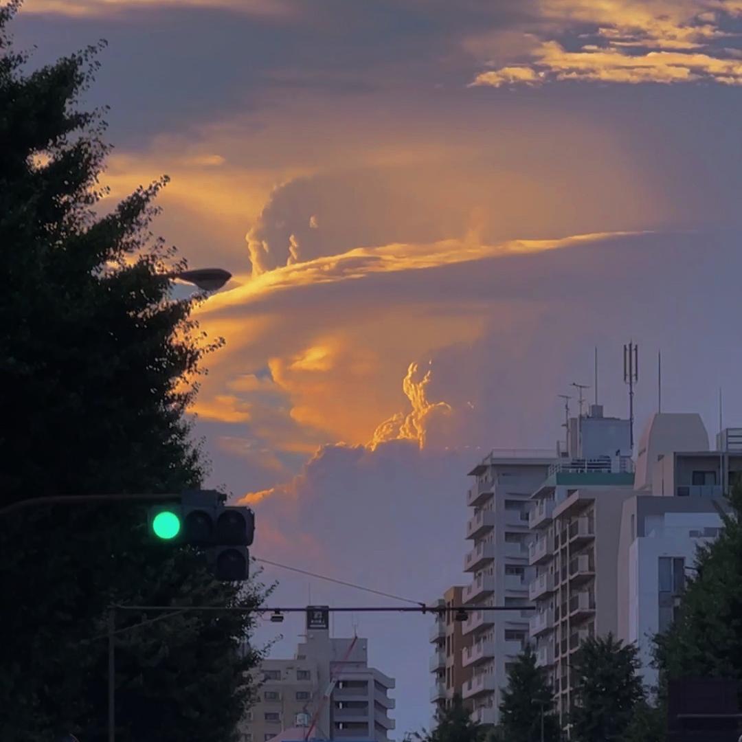 小跟班剖