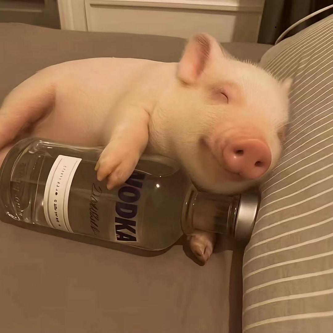 温霜降🧸