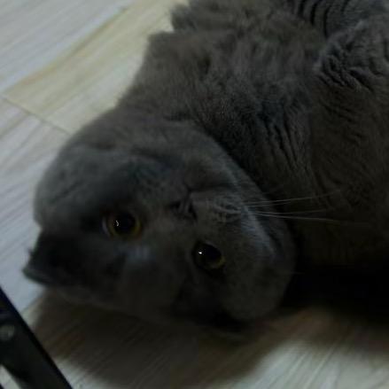 潘潘.