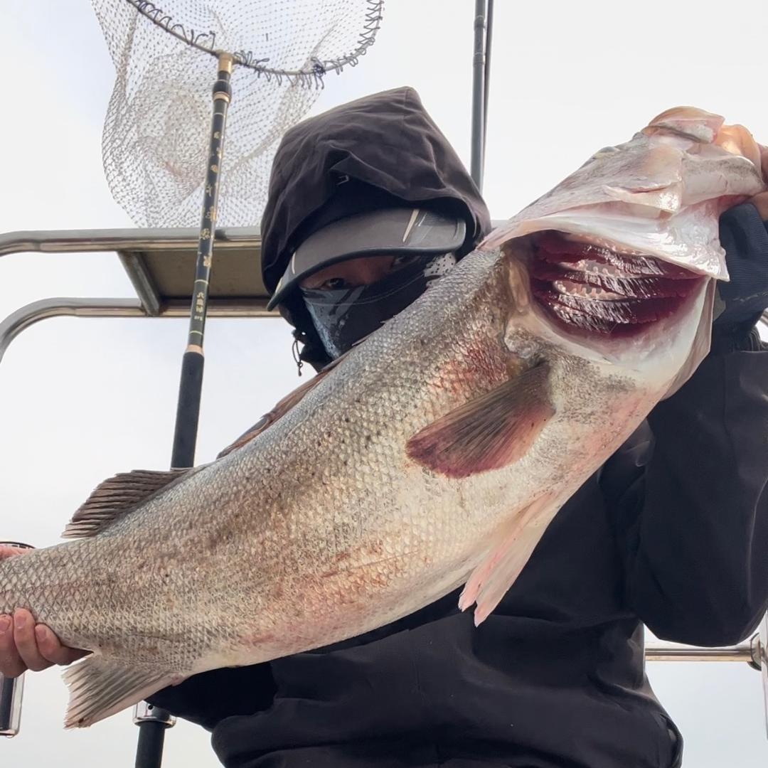 刘忐忑钓鱼 （来财）