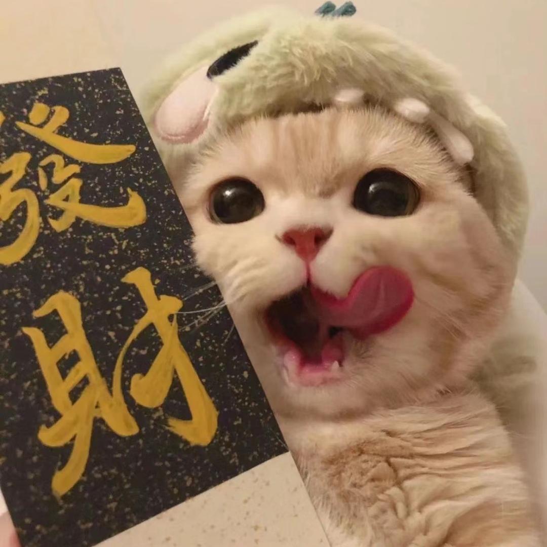 猫不疑