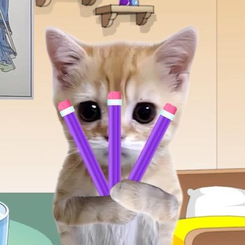 花脸猫meme