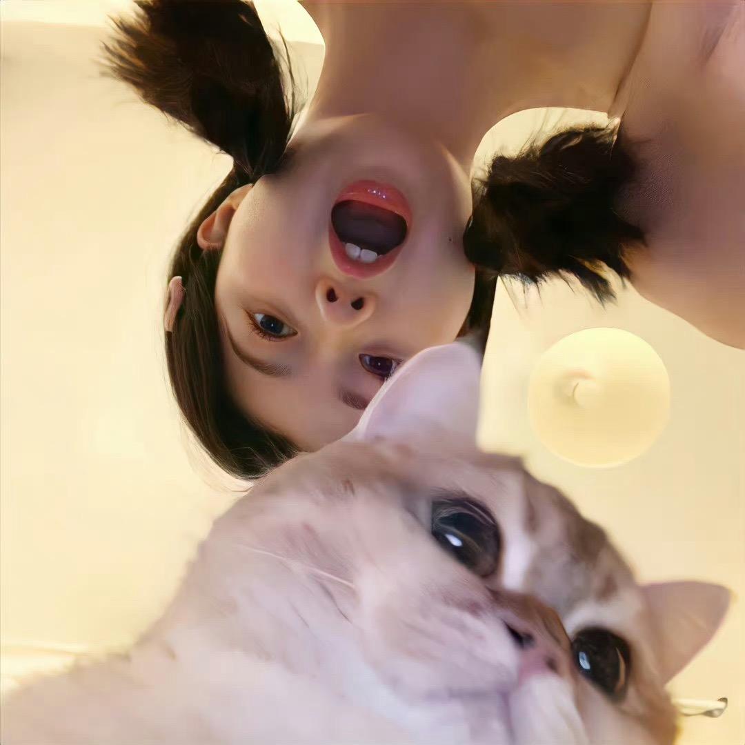 一条 咸鱼