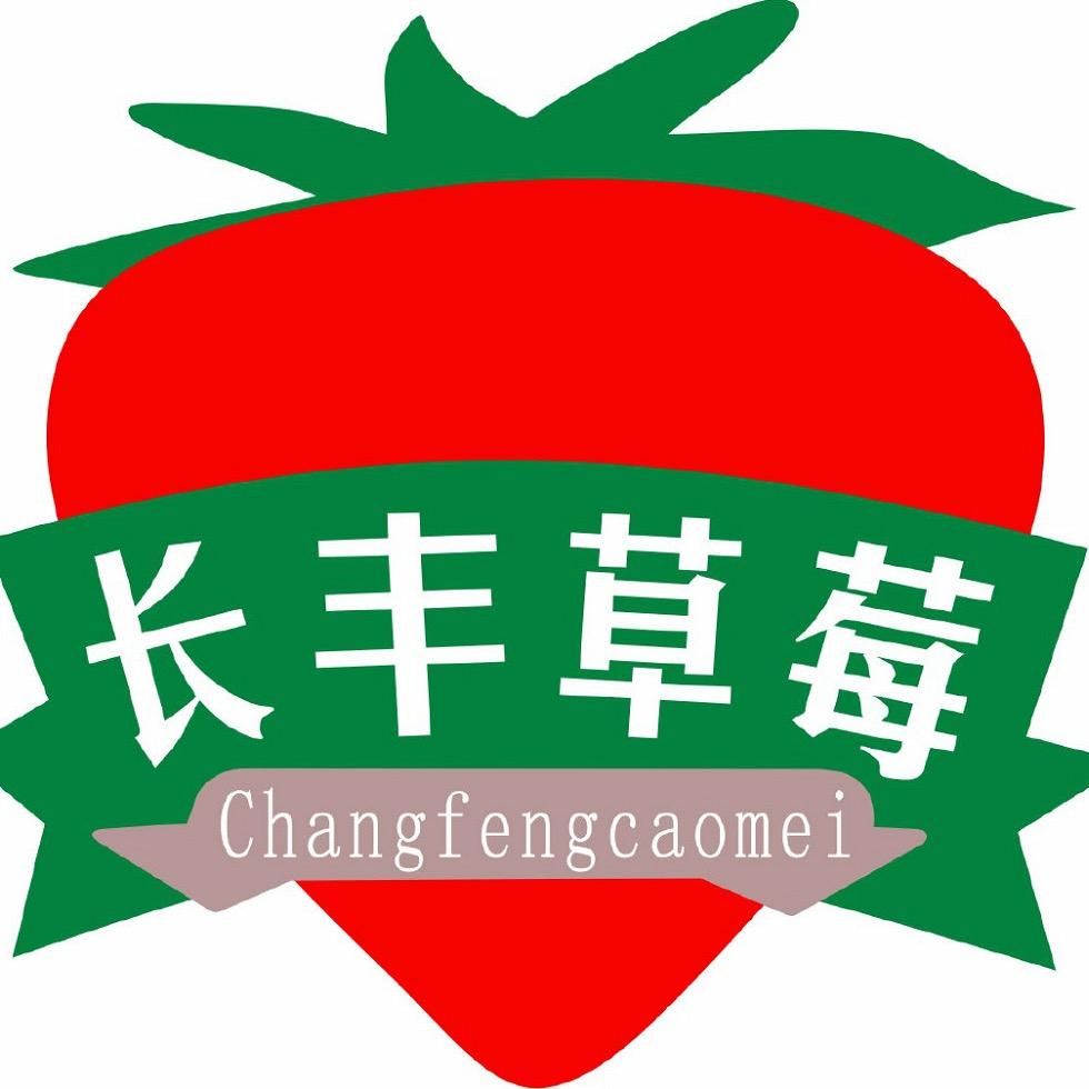 长丰草莓祥农专卖店