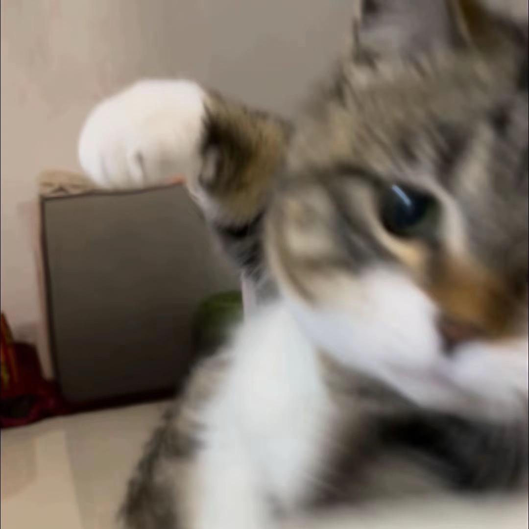 拖延症