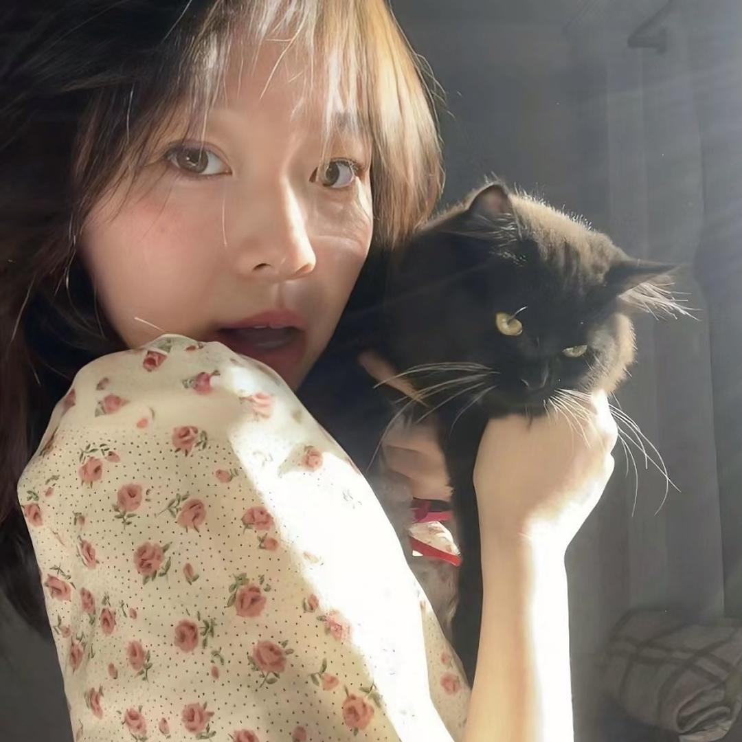 斯莱卡