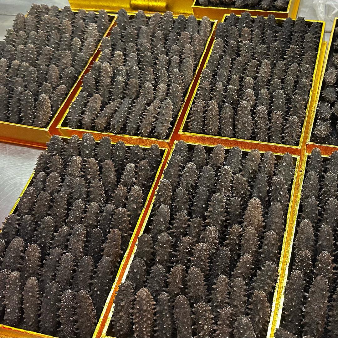 船旗精品海参店