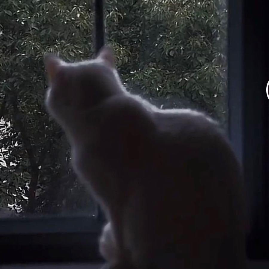 🌈🌈🌈小笨咪二条