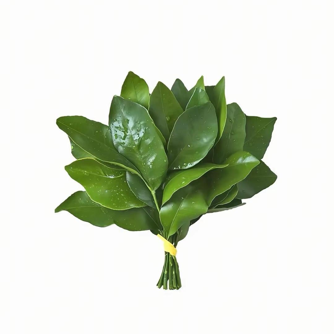 𝓐𝓻𝓬𝓱𝓮𝓻