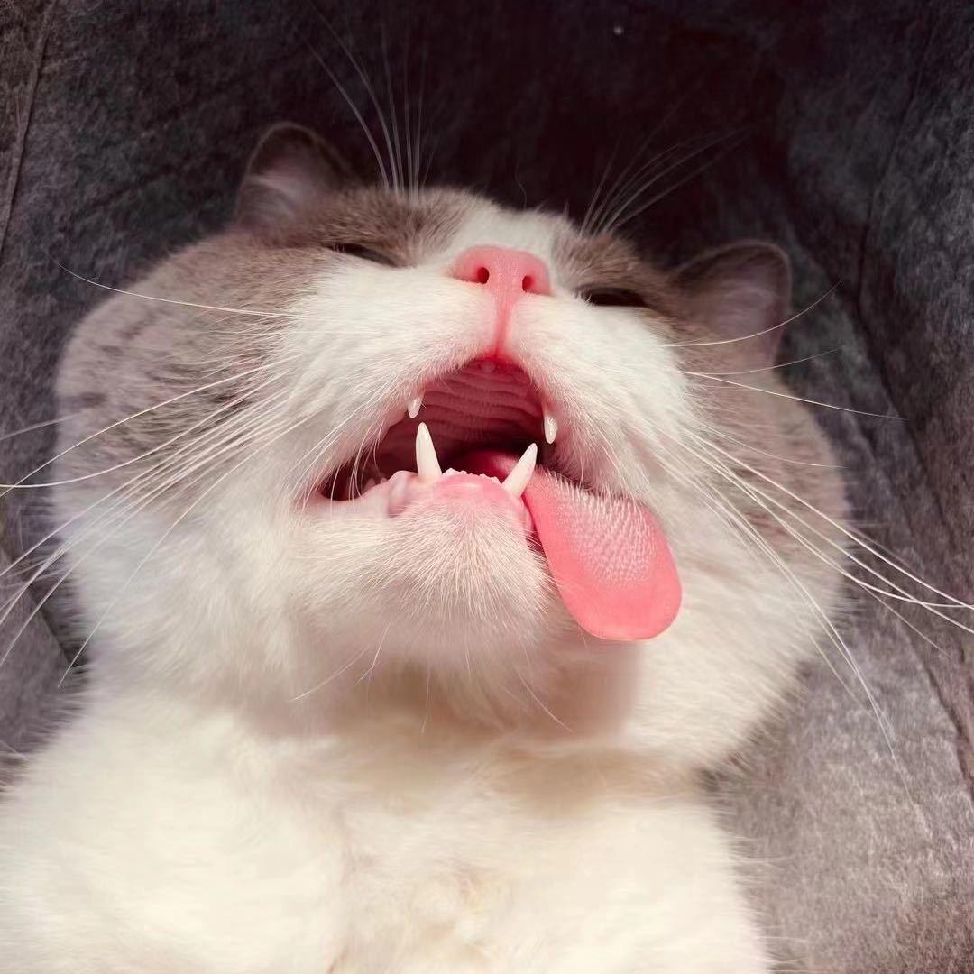 1°
