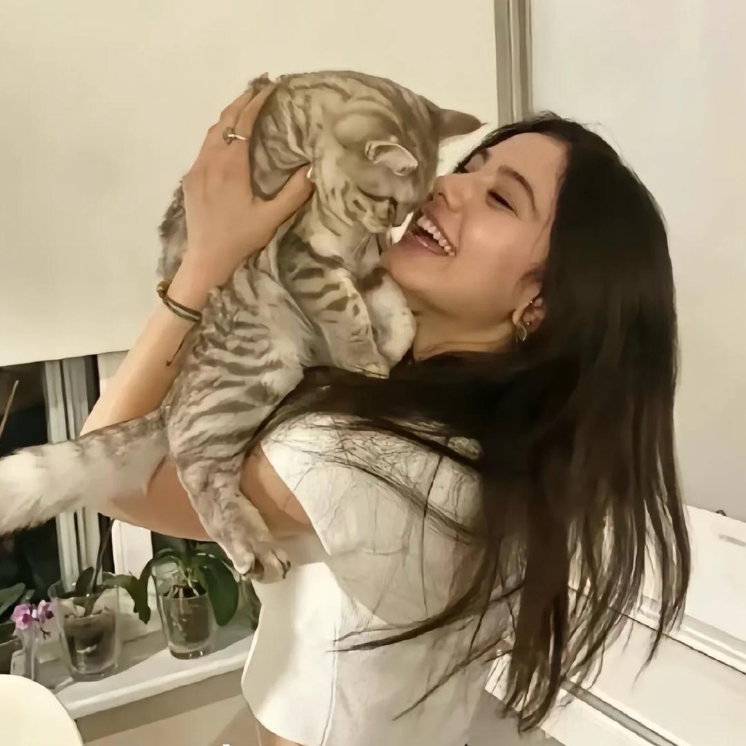 🐯🌹