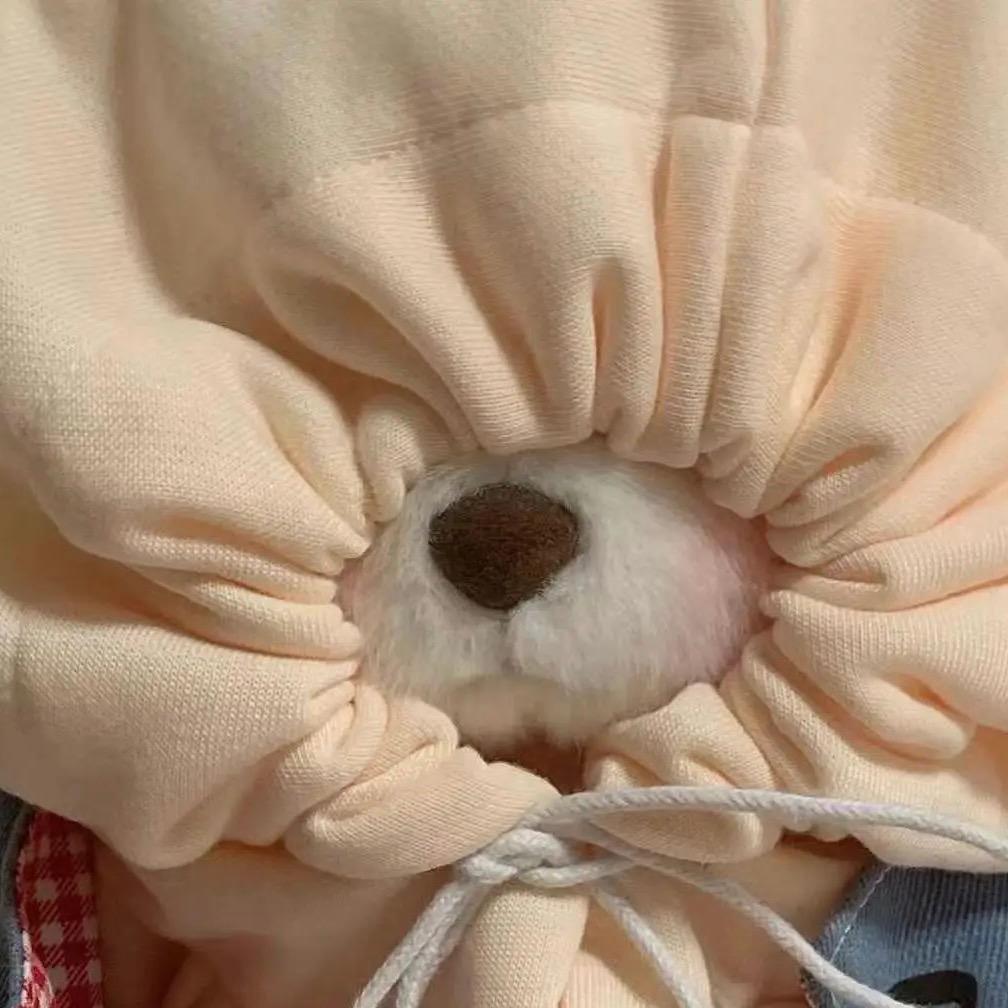 ฅ圈圈圆圆圈圈ฅ